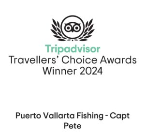 tripadvisor Puerto Vallarta